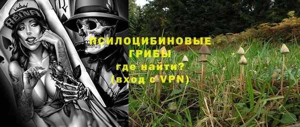 apvp Волосово
