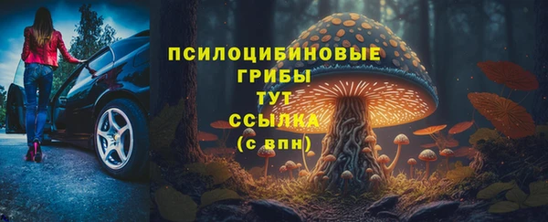 apvp Волосово