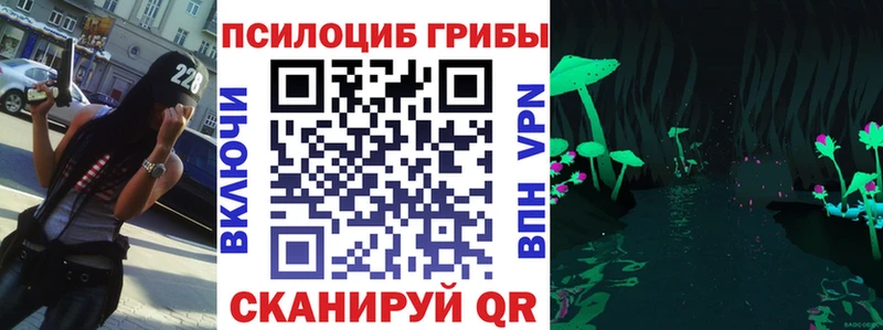Галлюциногенные грибы Cubensis  omg tor  Калуга 